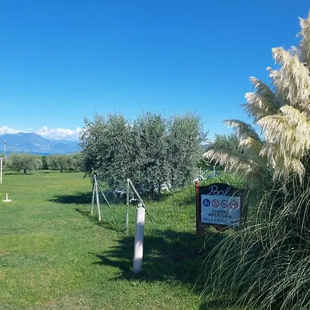 Al-bor Farma