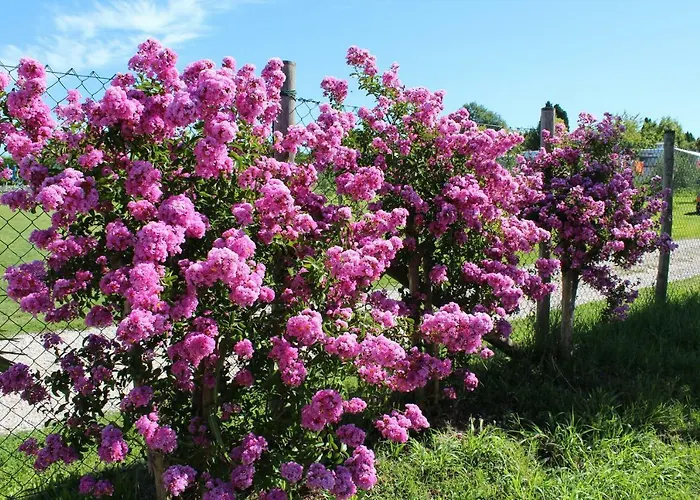 Al-bor Agroturismo Lazise