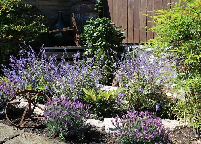 Agroturismo Al-bor *