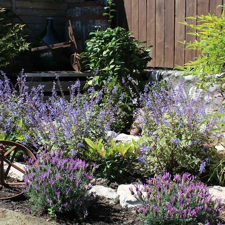 مزرعة للإقامة Al-bor *